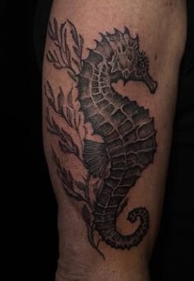 Hippocampe noir et gris